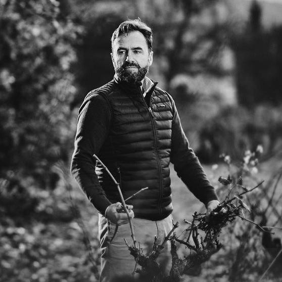 ヴィニヨーブル ダヴィッド レ マスク