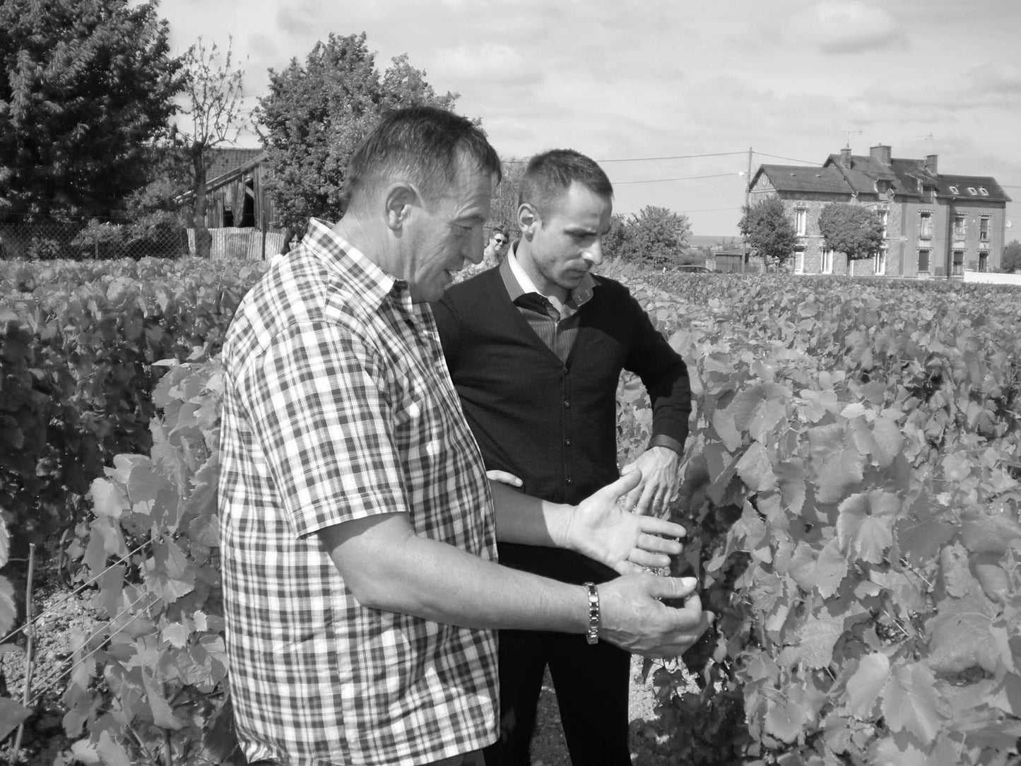 ミニヨン-ジョンティ