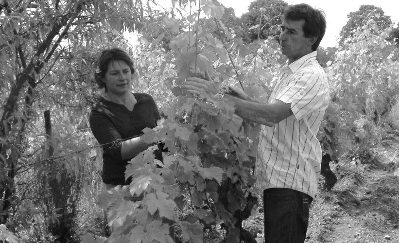 マチュー ブシェ ル シルフー